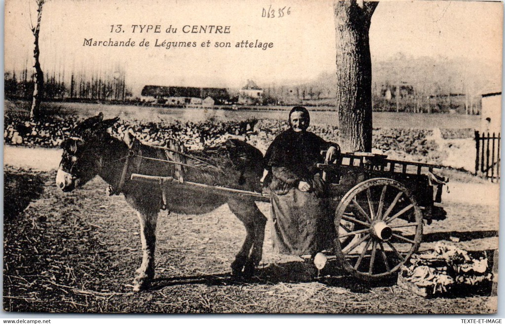 63 - Type D'auvergne - Marchande De Legumes Et Son Attelage - Other & Unclassified