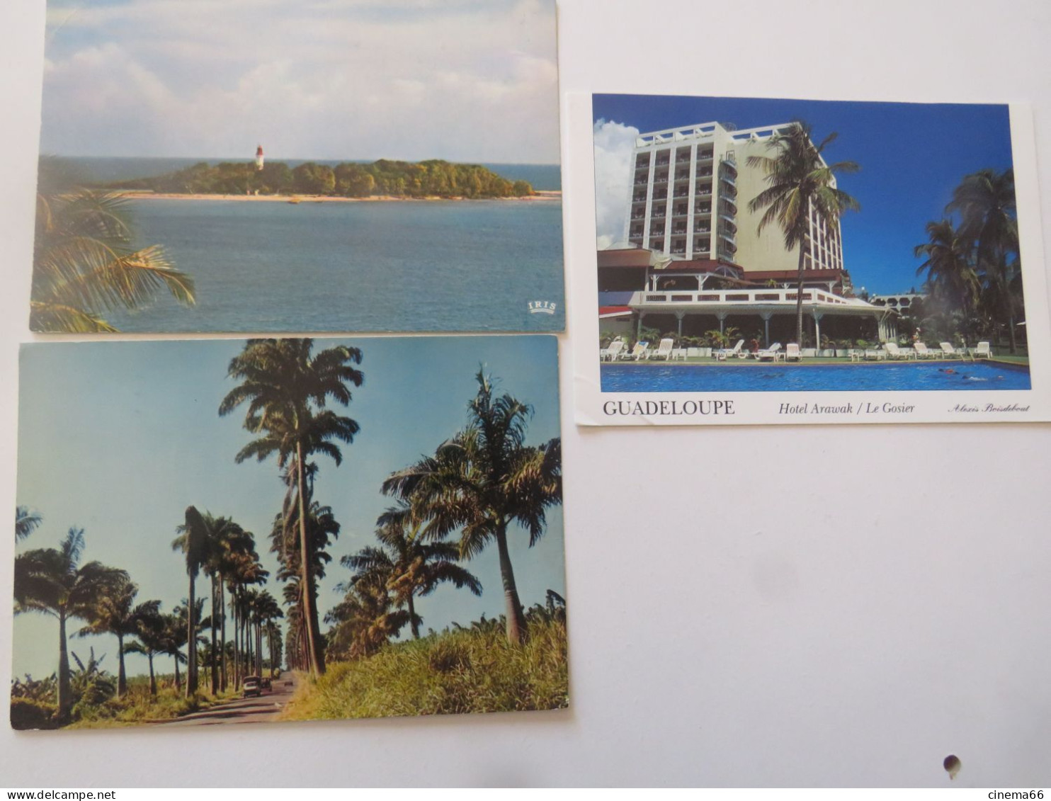 GUADELOUPE - Lot De 3 Cartes - - Sonstige & Ohne Zuordnung