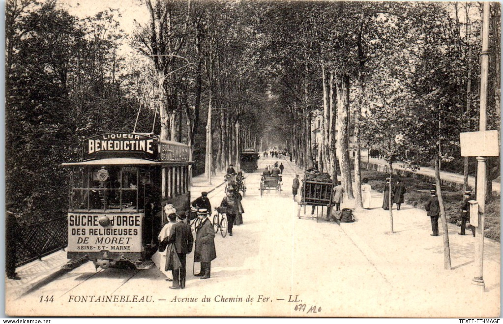 77 FONTAINEBLEAU - Avenue Du Chemin De Fer -  - Fontainebleau
