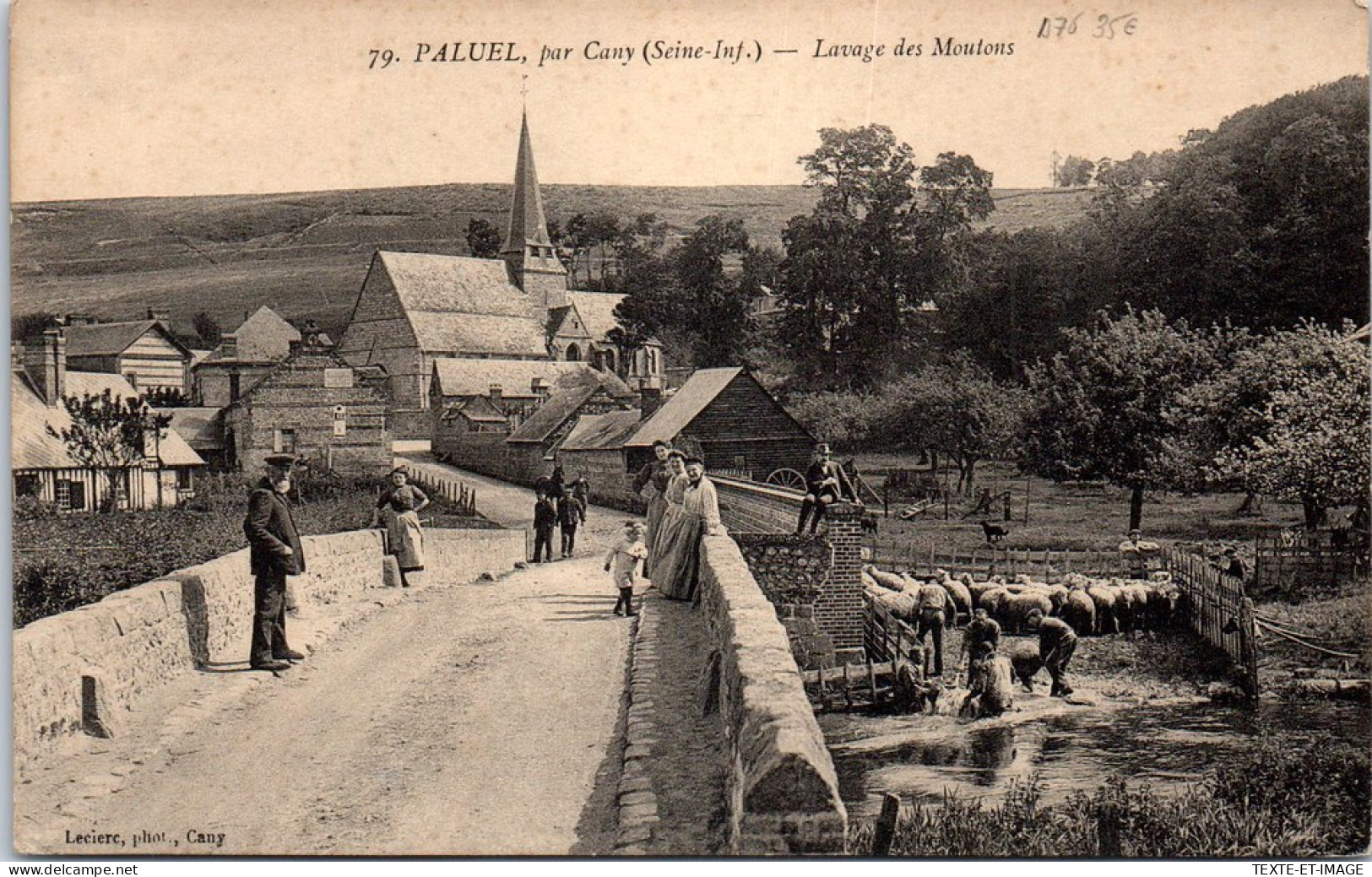 76 PALUEL - Lavage Des Moutons -  - Other & Unclassified