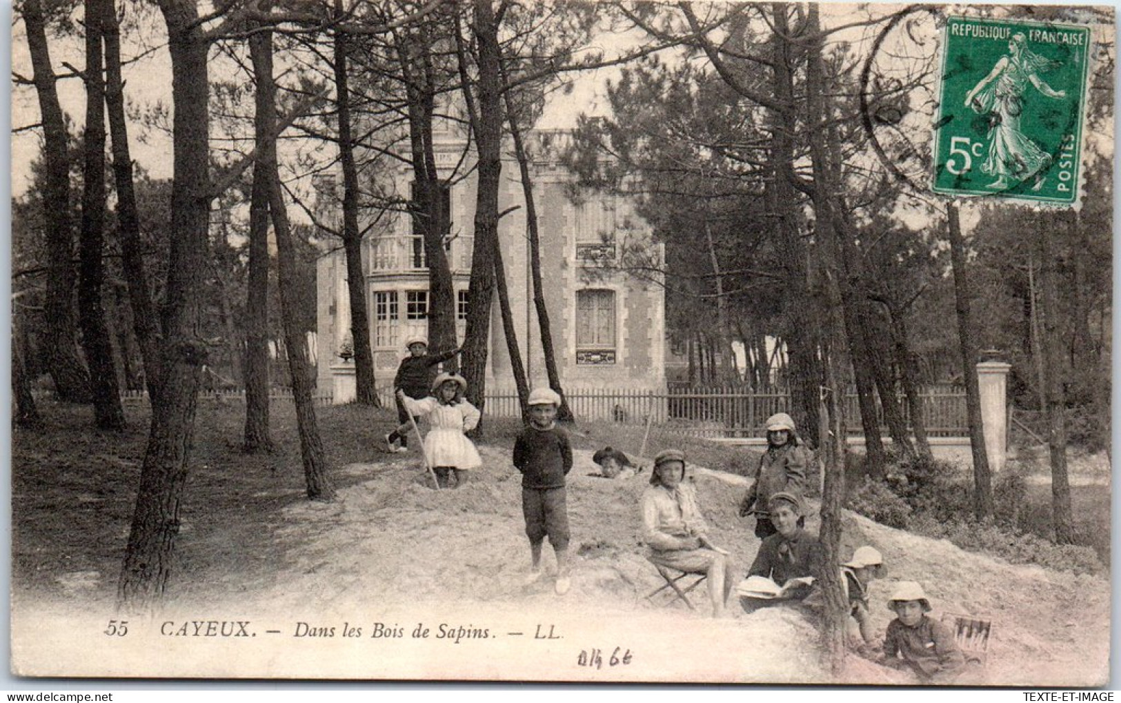 80 CAYEUX - Dans Les Bois De Sapins -  - Cayeux Sur Mer