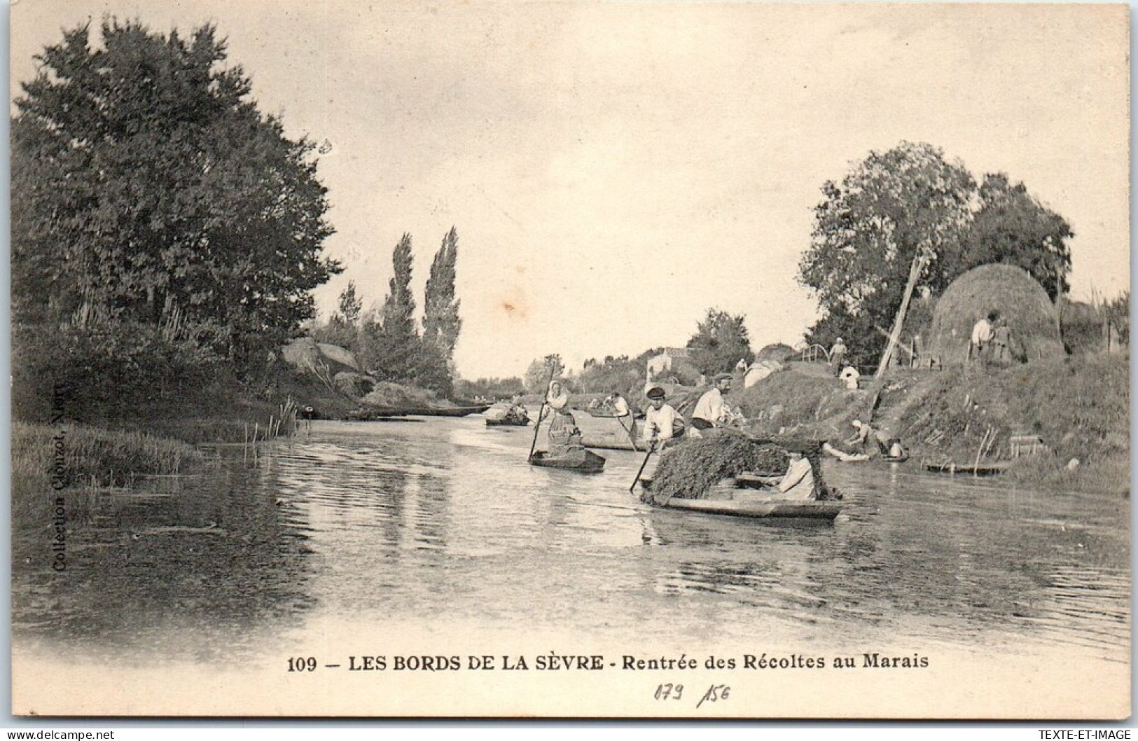 79 - Les Bords De La Sevre - Rentree Des Recoltes Au Marais  - Altri & Non Classificati