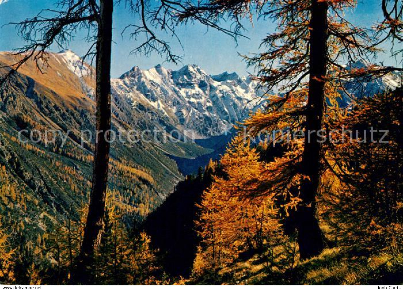 13161859 Val Cluozza Mit Piz Dal Diavel Val Cluozza - Sonstige & Ohne Zuordnung