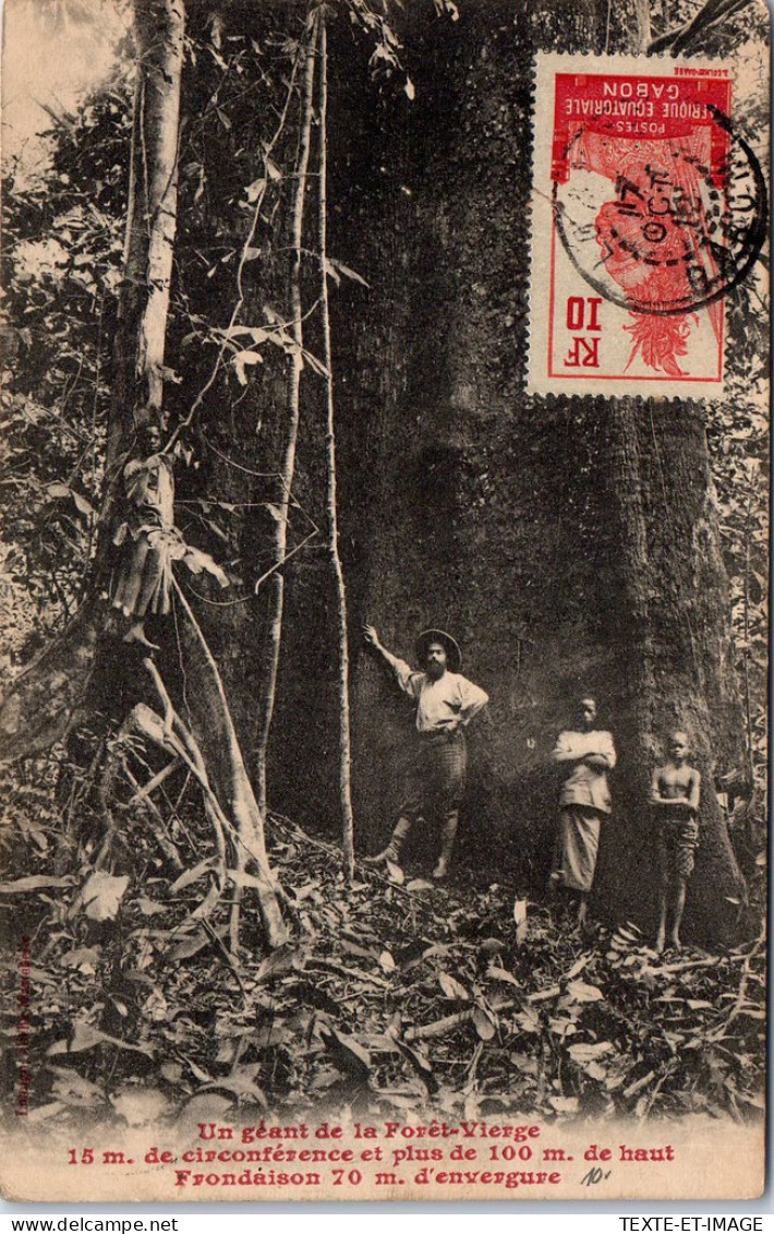 GABON - Un Geant De 100 M De La Foret Vierge  - Gabun