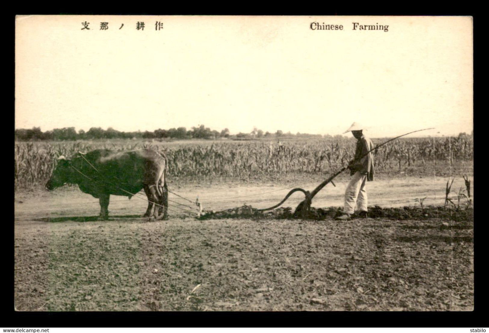 CHINE - CHINESE FARMING - Chine