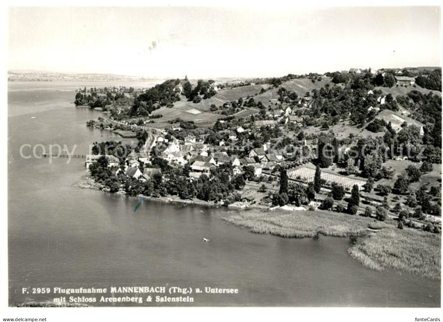 13153809 Mannenbach Untersee Fliegeraufnahme Schloss Arenenberg Salenstein Manne - Autres & Non Classés