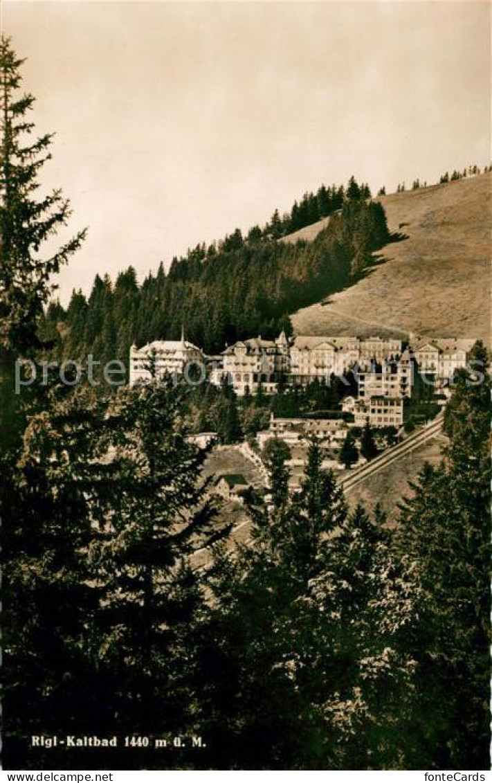 13150459 Rigi Kaltbad Panorama Rigi Kaltbad - Andere & Zonder Classificatie