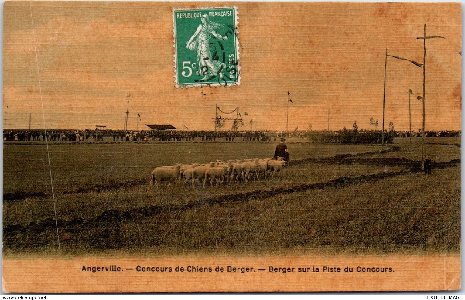 91 ANGERVILLE - Concours De Chiens De Berger -  - Angerville