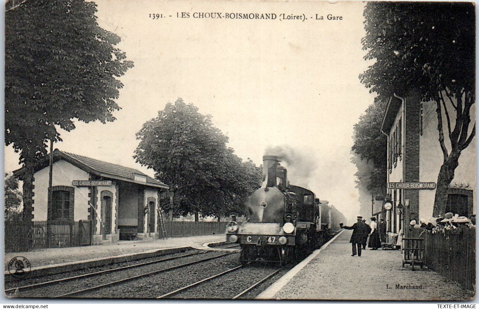 45 LES CHOUX BOISMORAND - La Gare (beau Plan De Train) - Other & Unclassified
