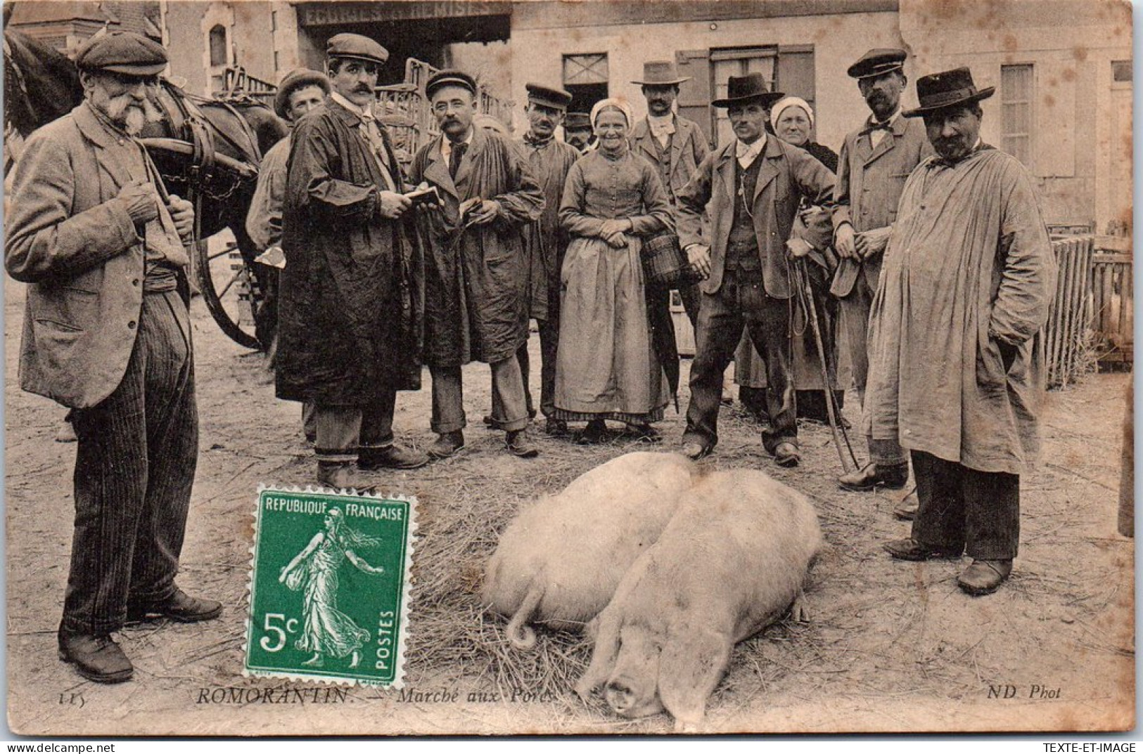 41 ROMORANTIN - Scene Au Marche Aux Porcs -  - Romorantin