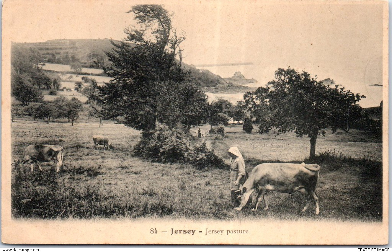 GRANDE BRETAGNE - JERSEY - Jersey Pasture. - Altri & Non Classificati