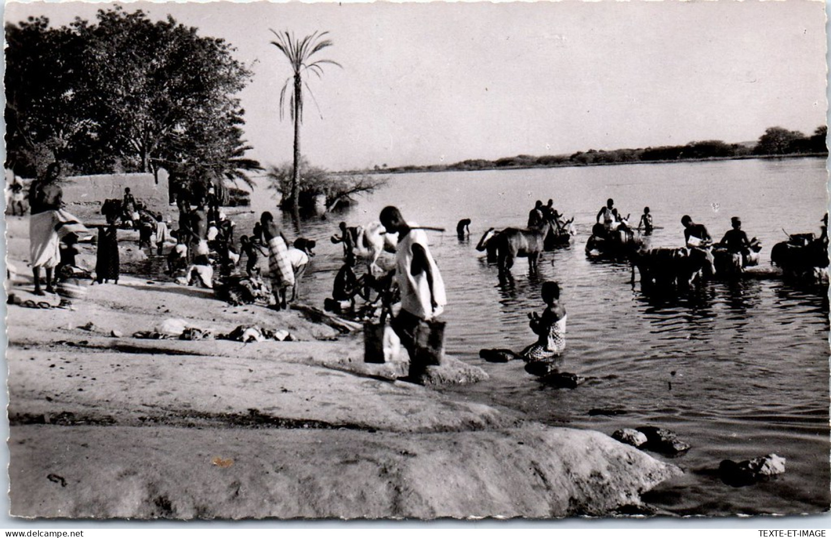 NIGER - NIAMEY - Scene De La Vie Au Bord Du Fleuve. - Niger