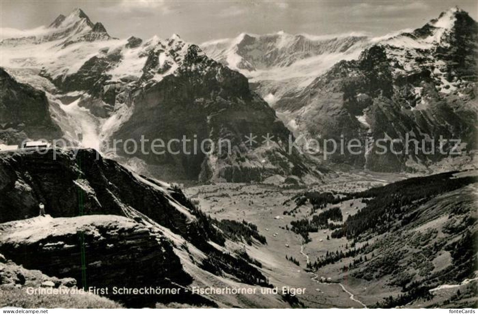 13143599 Grindelwald First Schreckhoerner Fischerhoerner Und Eiger Berner Alpen  - Sonstige & Ohne Zuordnung