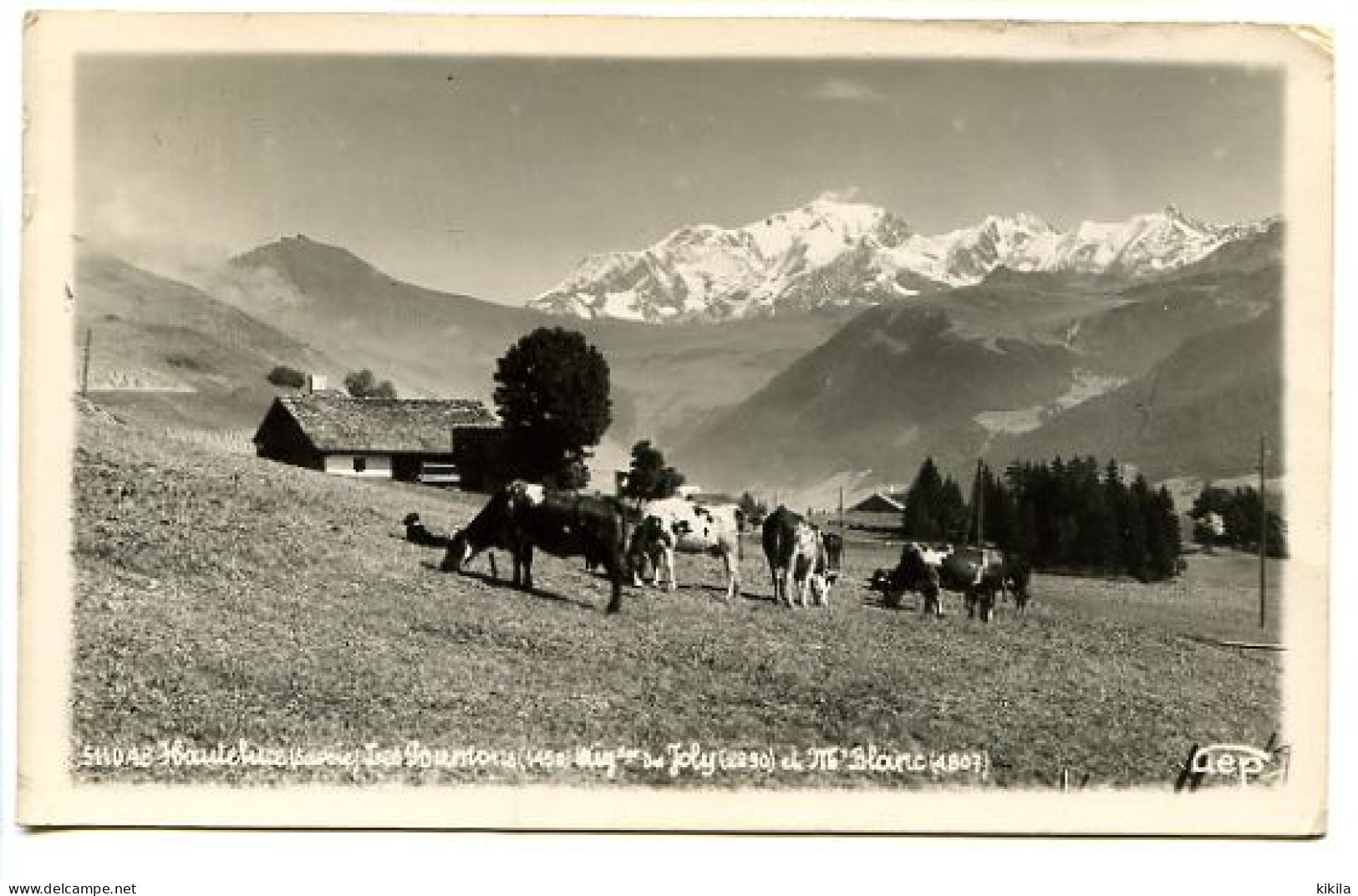 CPSM GEP  9 X 14 Savoie HAUTELUCE  Les Poumons (1450) Aiglles Du Joly (2290) Et Mt Blanc (4807) Vaches  Chien Alpage - Andere & Zonder Classificatie