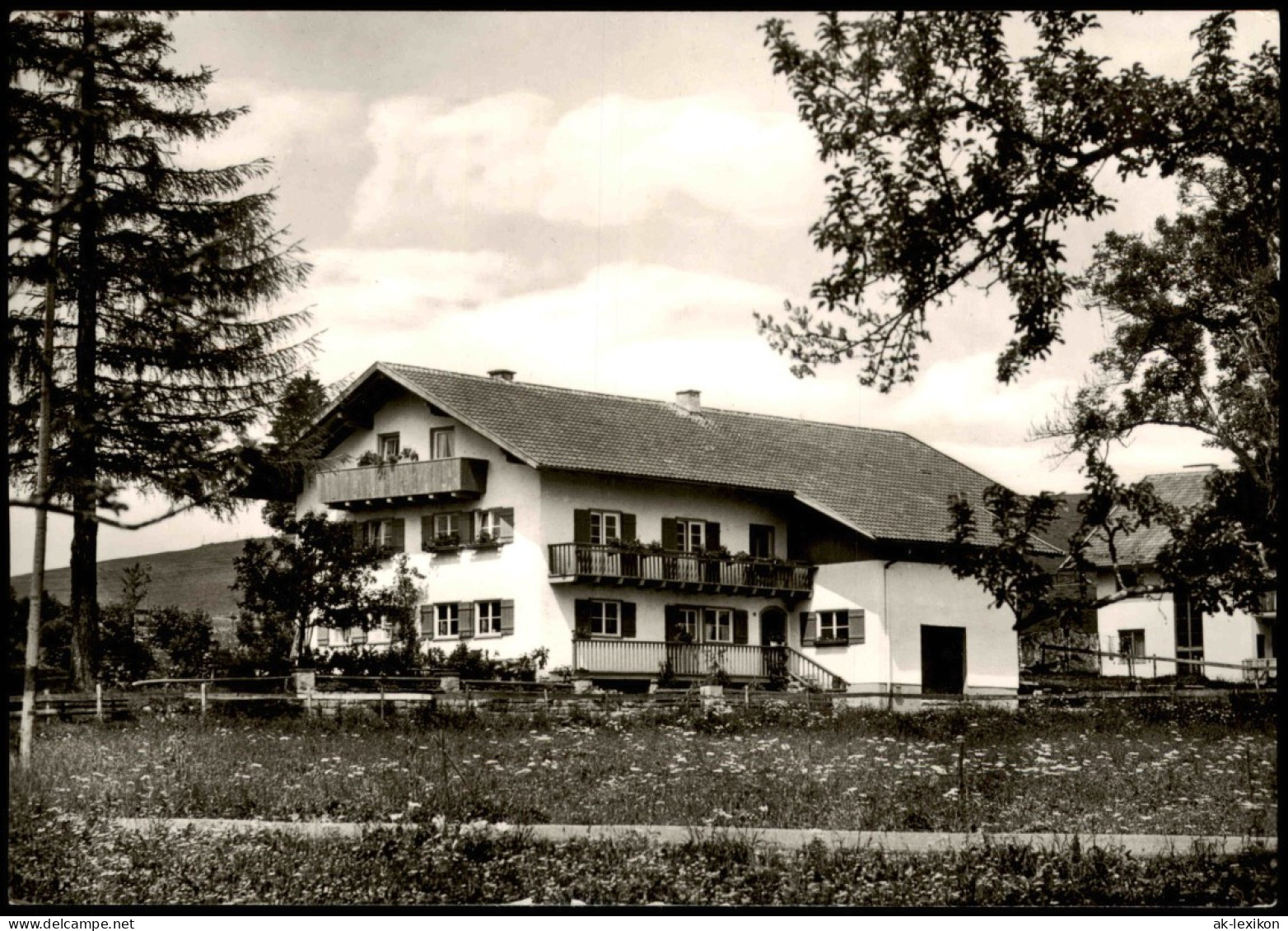 Ansichtskarte Nesselwang LÄRCHENHAUS- Michael Unsinn Maria-Rain 1964 - Andere & Zonder Classificatie