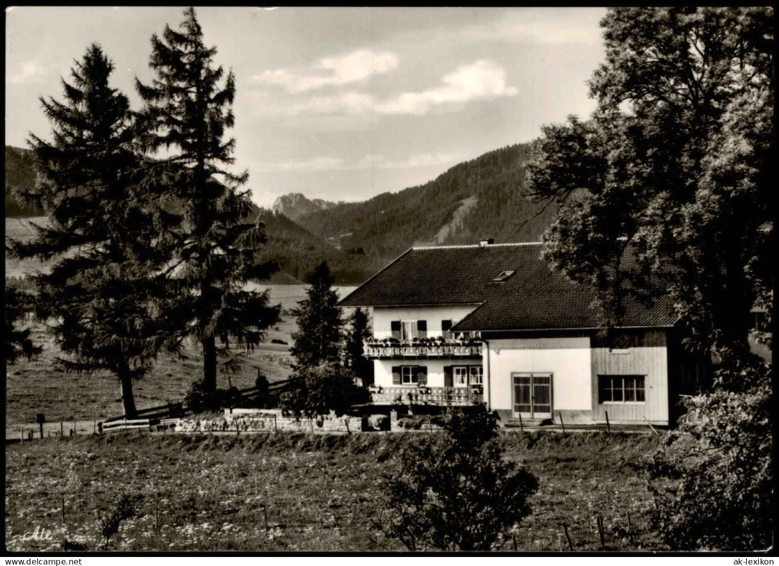 Ansichtskarte Nesselwang Maria-Rain Im Allgäu 950 M Lärchenhaus 1963 - Andere & Zonder Classificatie