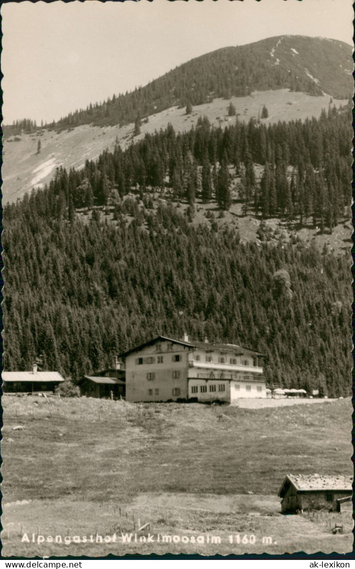 Ansichtskarte Winklmoos-Alm-Reit Im Winkl Alpengasthof Winkimoosalm 1964 - Reit Im Winkl