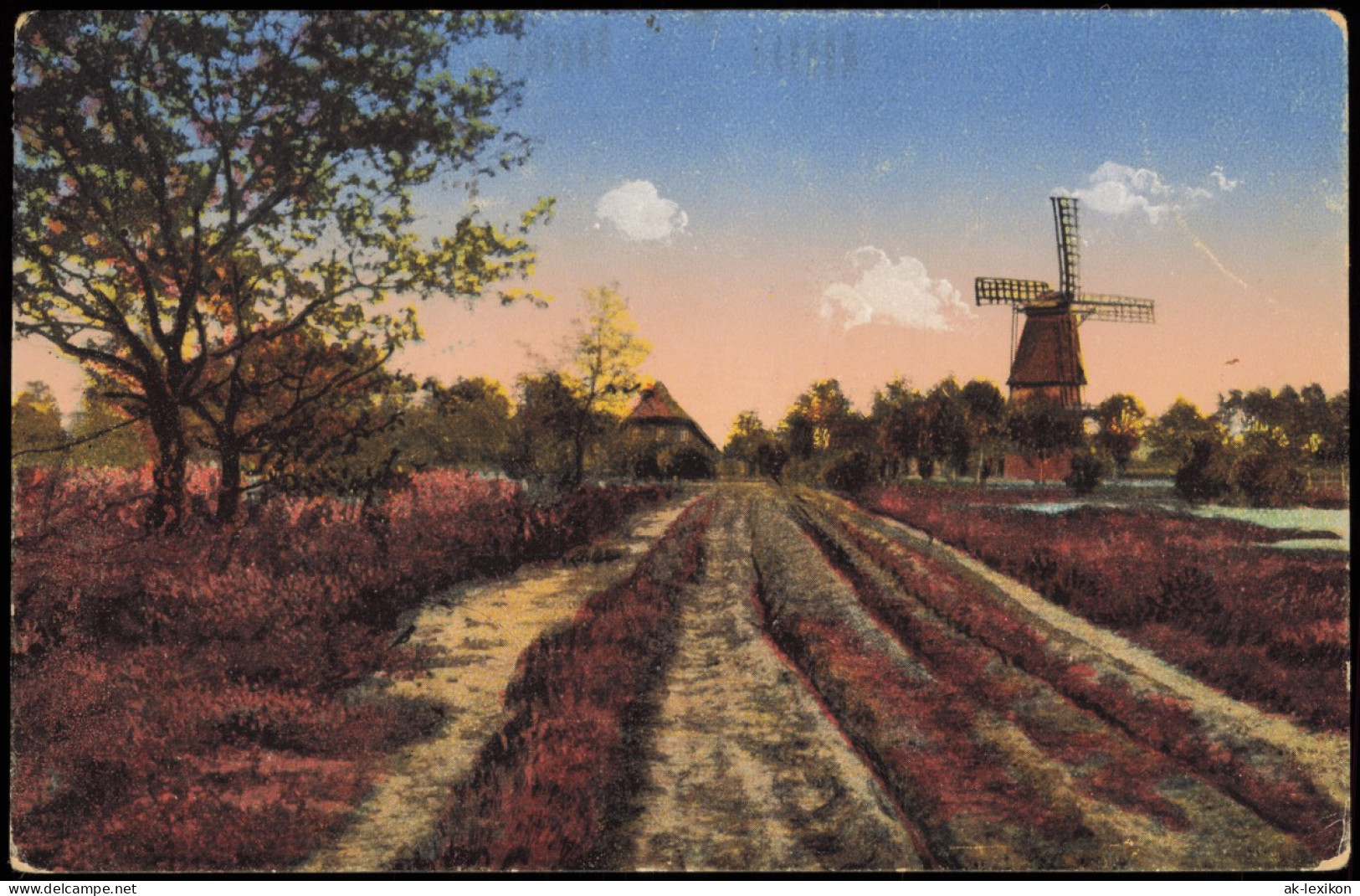 Ansichtskarte .Niedersachsen Windmühlen Windmill Lüneburger Heide 1919 - Lüneburger Heide