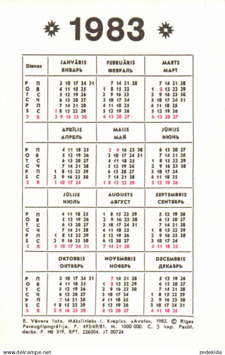 H2243 - 9 X Taschenkalender Kalender - Tamaño Pequeño : 1981-90