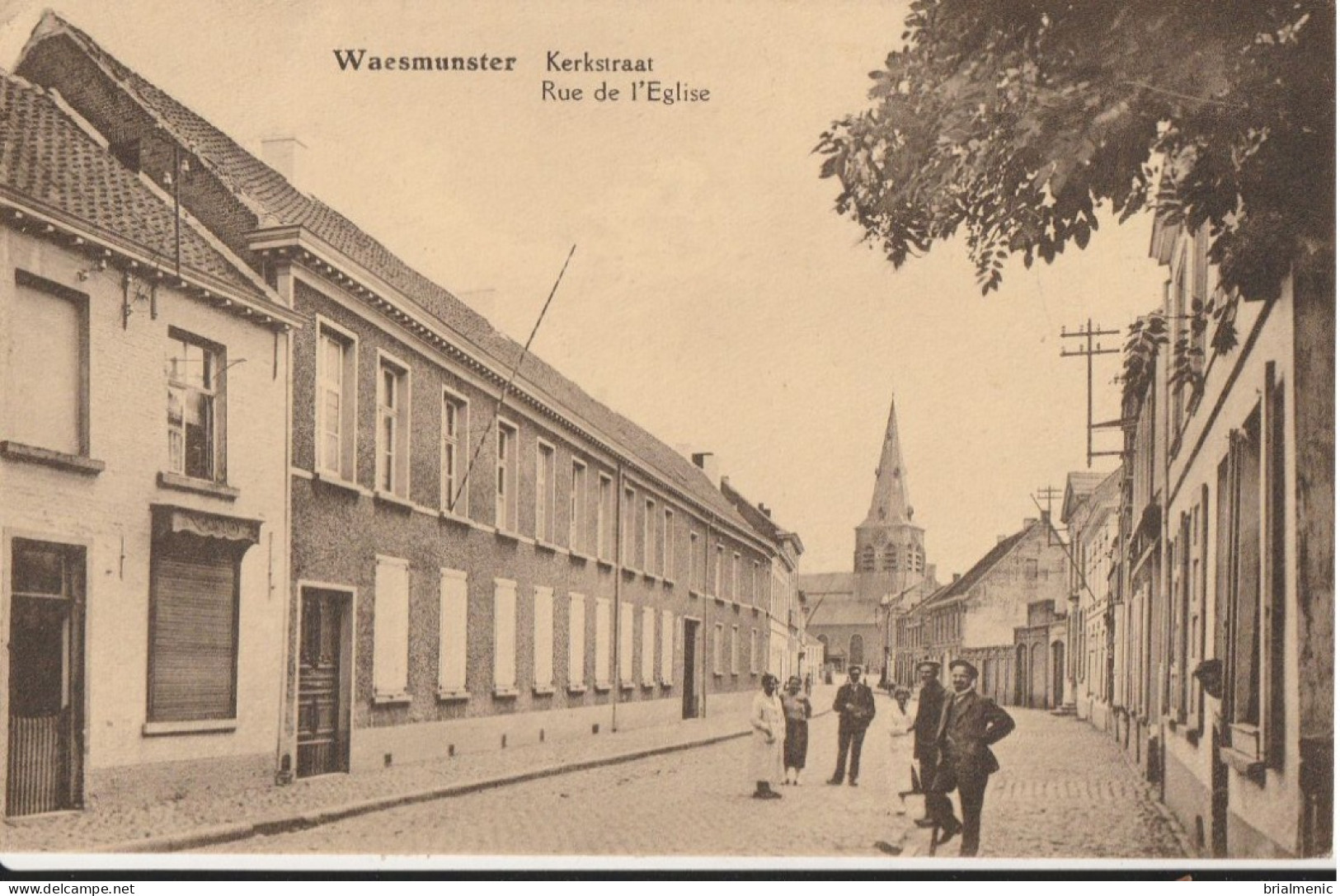 WAESMUNSTER  Rue De L'Eglise - Waasmunster