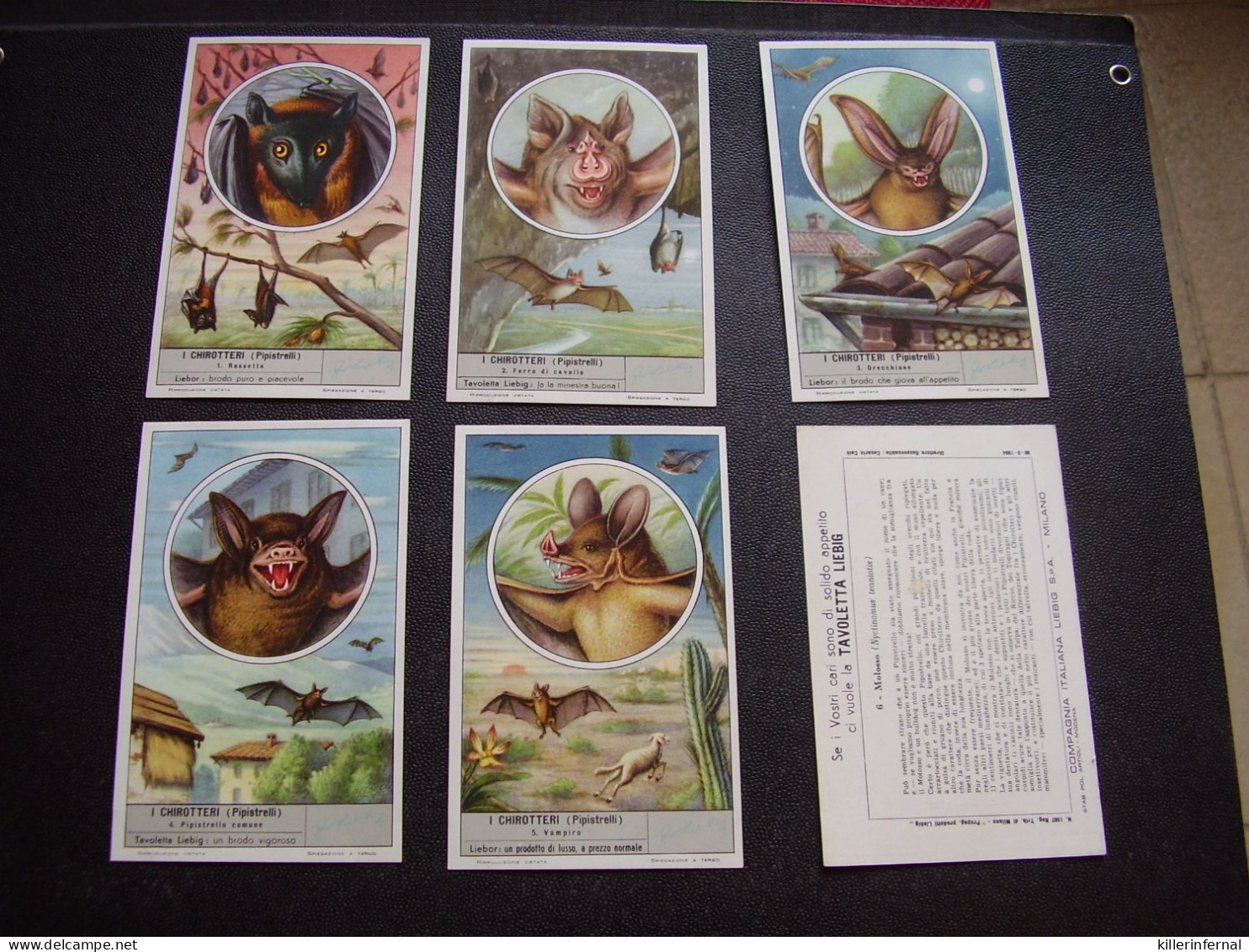 Original Old Cards Chromos Liebig S 1616 IT Complet - Liebig