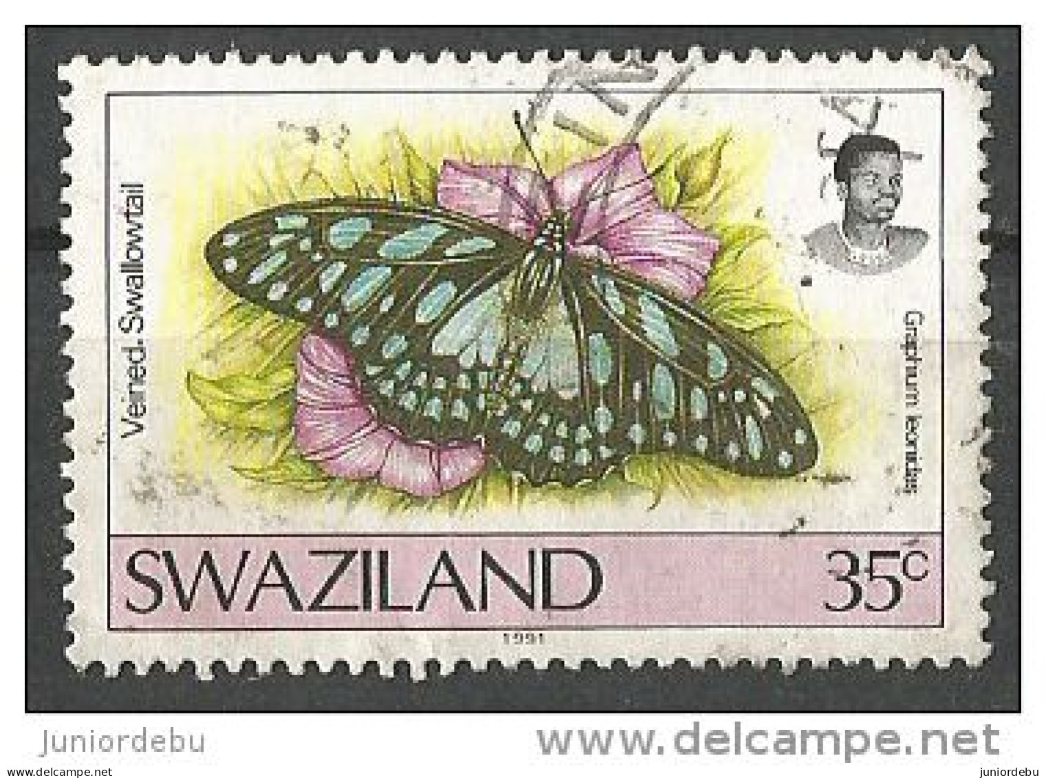 Swaziland    - 1991  - Butterfly ( Graphium Leonidas )    - USED. ( D ) ( Condition As Per Scan ) ( OL 14/04/2014 ) - Swaziland (1968-...)