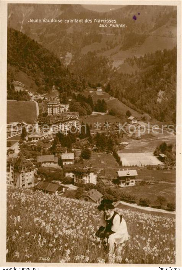 13114509 Les Avants Jeune Vaudoise Cueillant Des Narcisses Narzissenfeld Alpen L - Autres & Non Classés