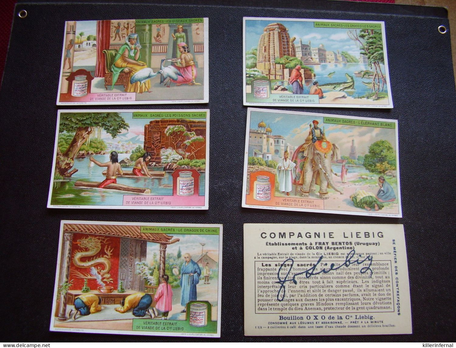 Original Old Cards Chromos Liebig S 1134 Animaux Sacrés Complet - Liebig