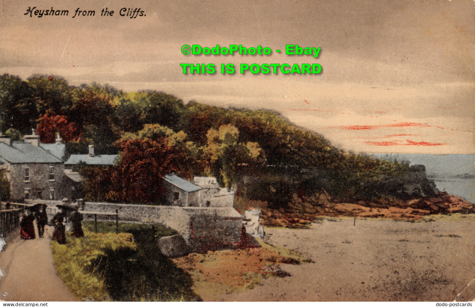 R355936 Heysham From The Cliffs. Postcard - World