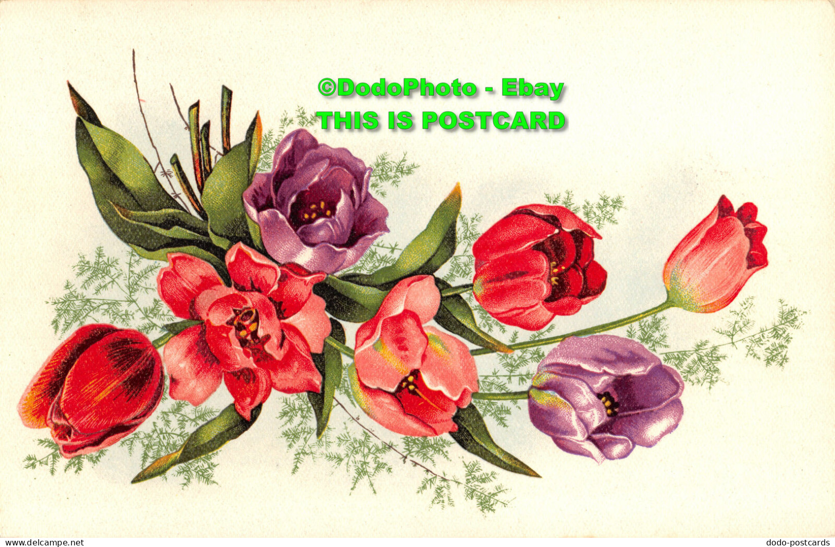 R355939 Red And Purple Tulips. Editions Gany. Postcard - World