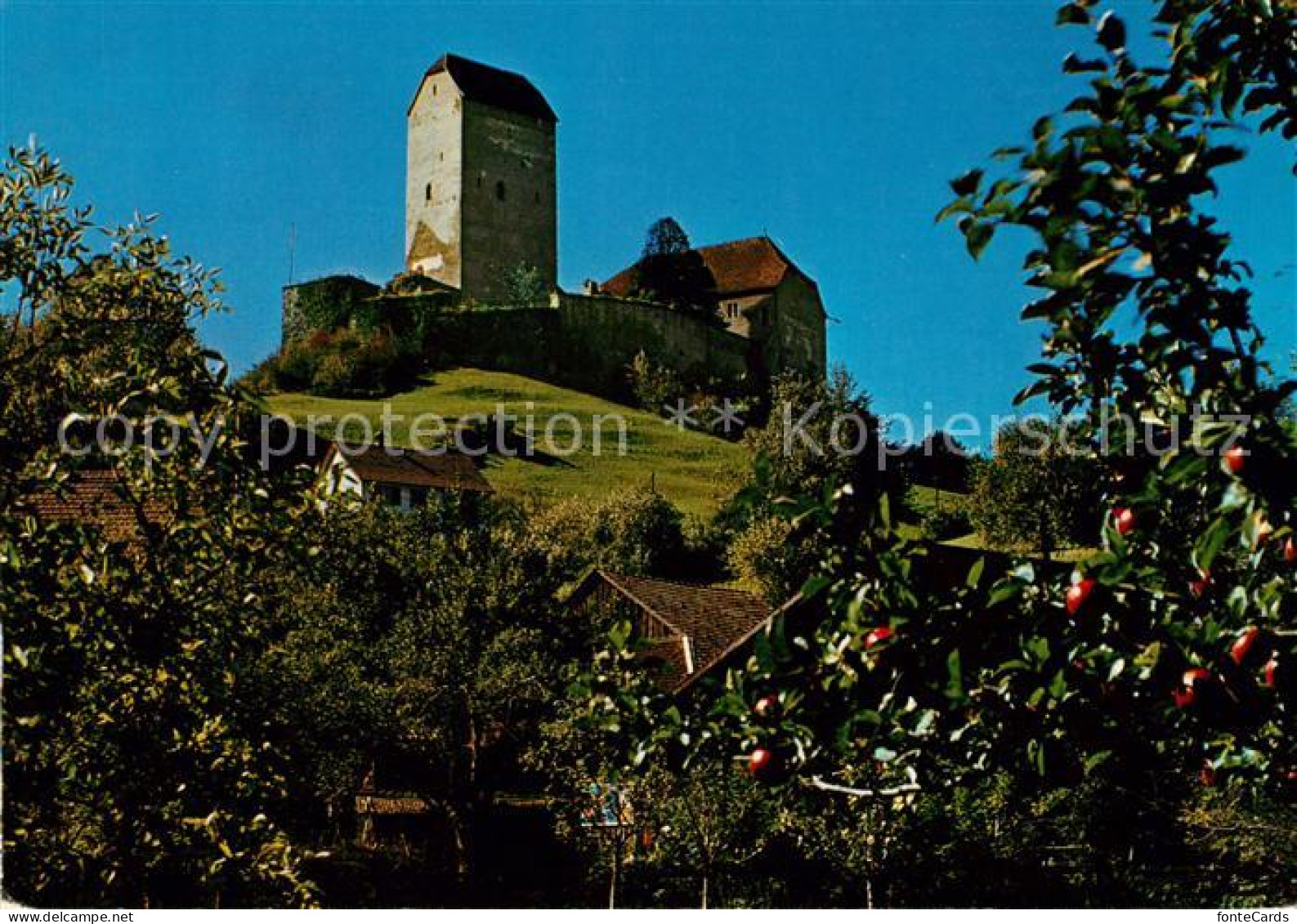 13093937 Sargans Schloss Sargans - Other & Unclassified