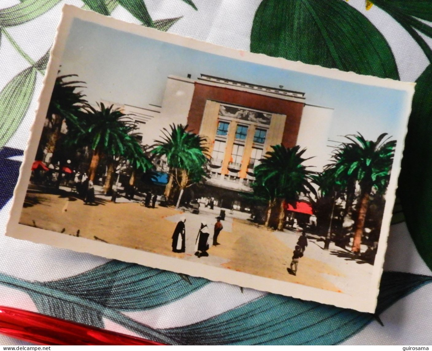 Sidi Bel Abès (Oran) - La Place Carnot Et Le Théâtre - Carte Photo Colorisée - Sidi-bel-Abbès