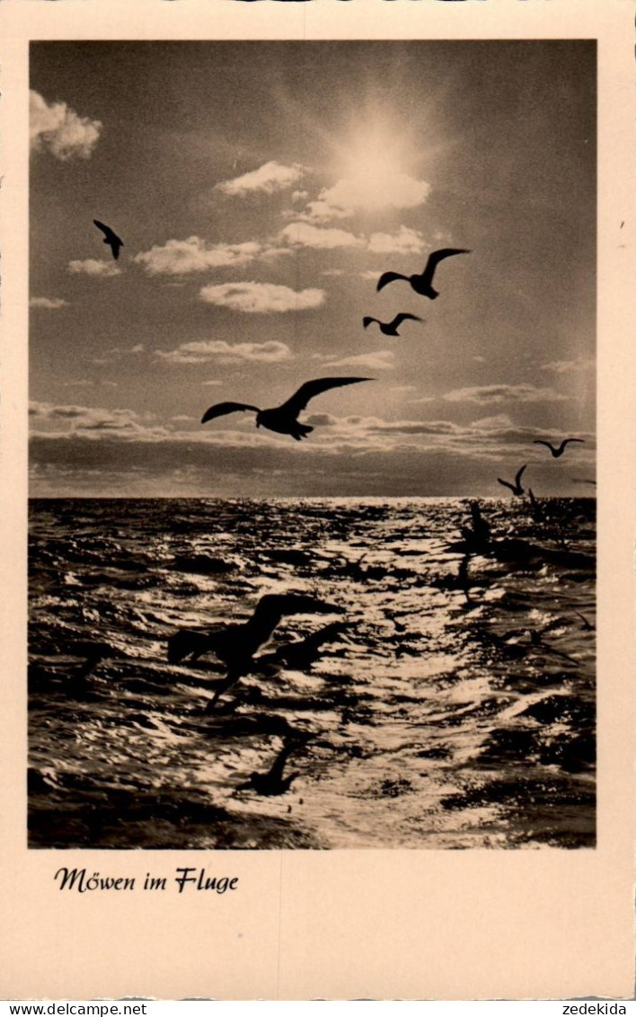 H2246 - TOP Foto Künstlerkarte - Motivkarte Meer See Sonnenuntergang - Verlag Garloff Magdeburg DDR - Andere & Zonder Classificatie