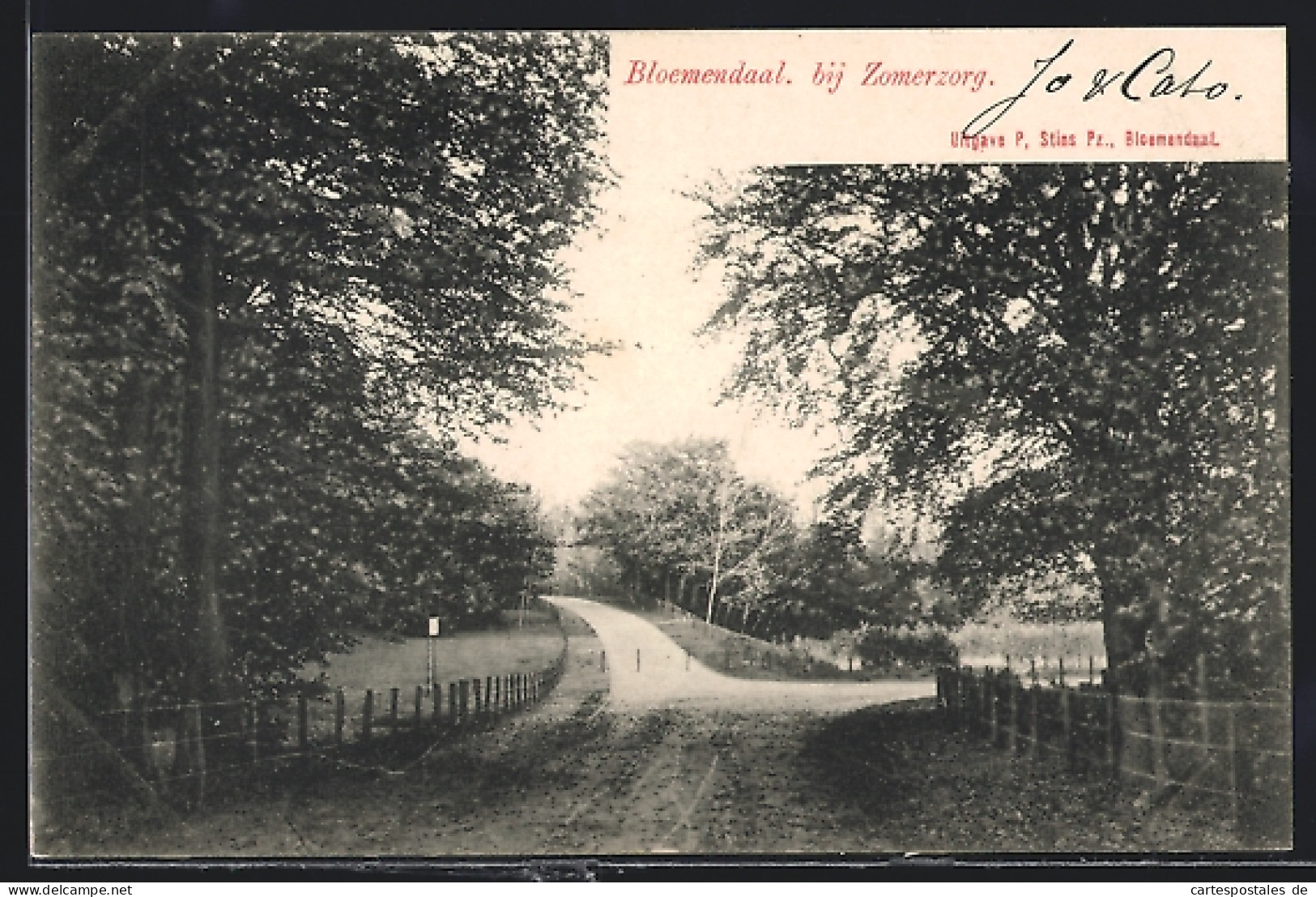 AK Bloemendaal Bij Zomerzorg, Idyllischer Weg An Den Bäumen Vorbei  - Bloemendaal