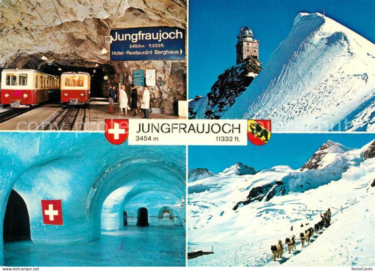 13065819 Jungfraujoch Station Eispalast Observatorium Polarhunde Jungfraujoch - Other & Unclassified