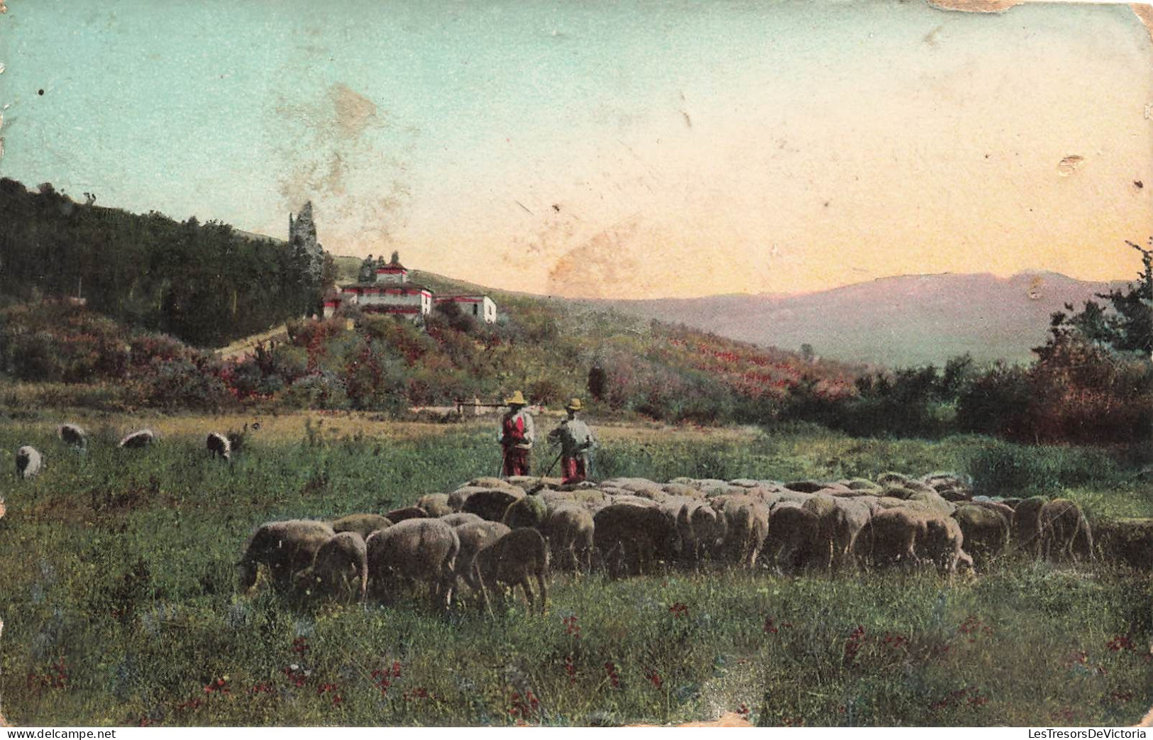 METIERS - Deux Bergers Avec Son Troupeau De Mouton - Colorisé - Carte Postale Ancienne - Farmers
