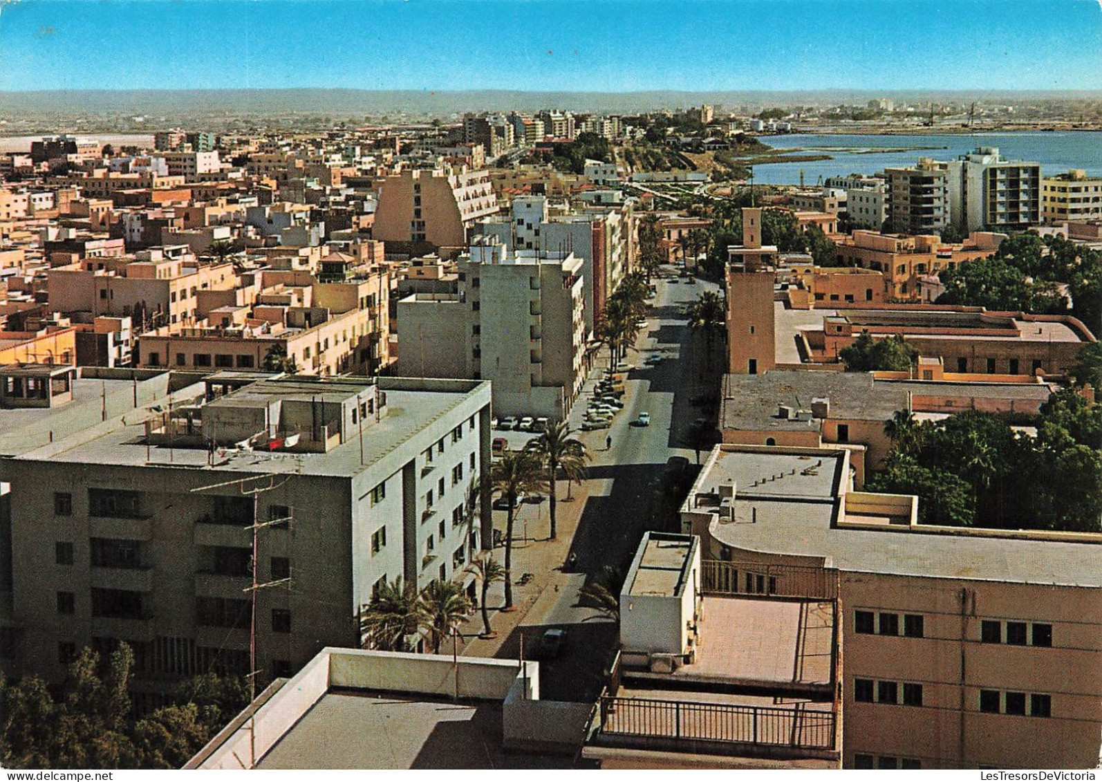 LYBIE - Benghazi - General View - Vue Sur La Ville - Animé - Voitures - Carte Postale - Libia
