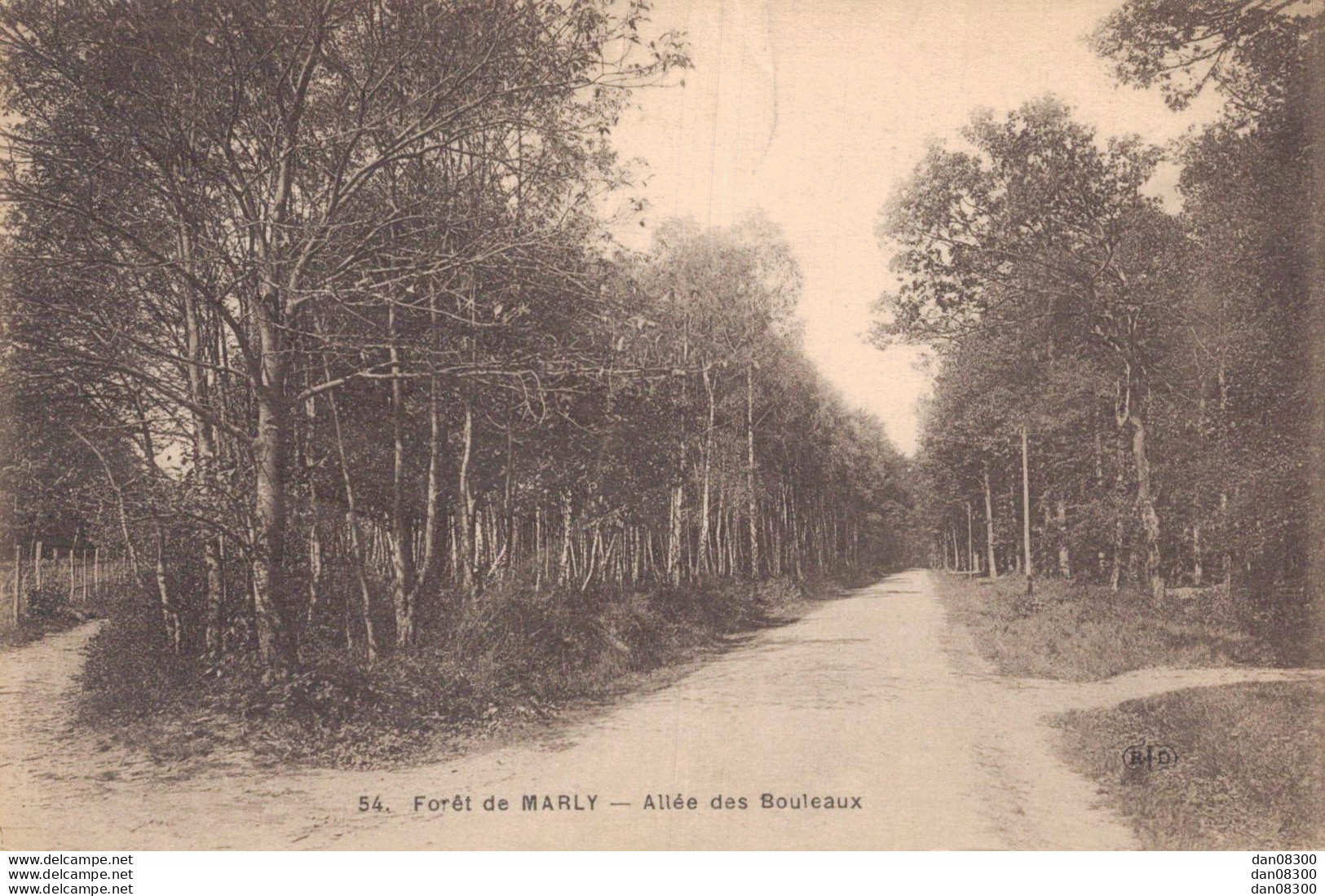 78 FORET DE MARLY ALLEE DES BOULEAUX - Marly Le Roi