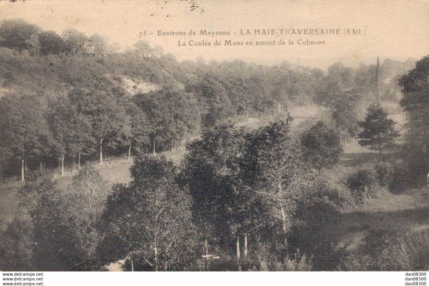 53 LA HAIE TRAVERSAINE LA COULEE DE MONS EN AMONT DE LA COLMONT - Altri & Non Classificati