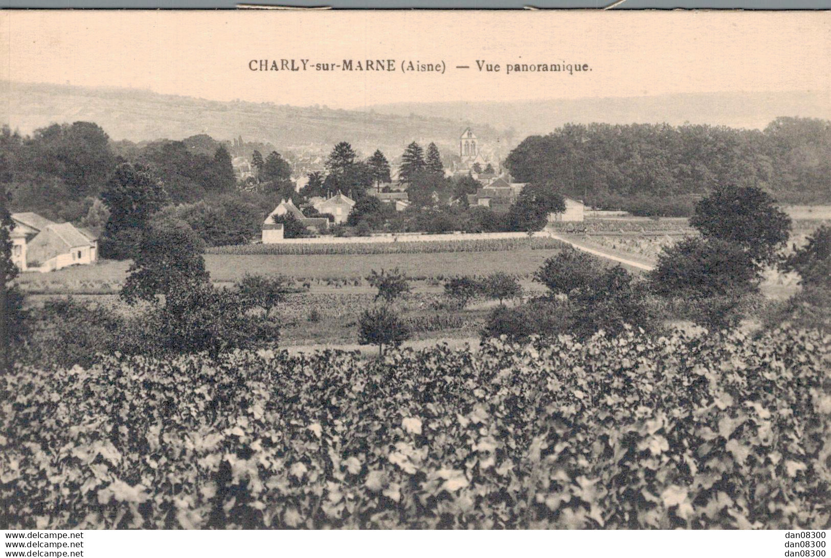 02 CHARLY SUR MARNE VUE PANORAMIQUE - Autres & Non Classés