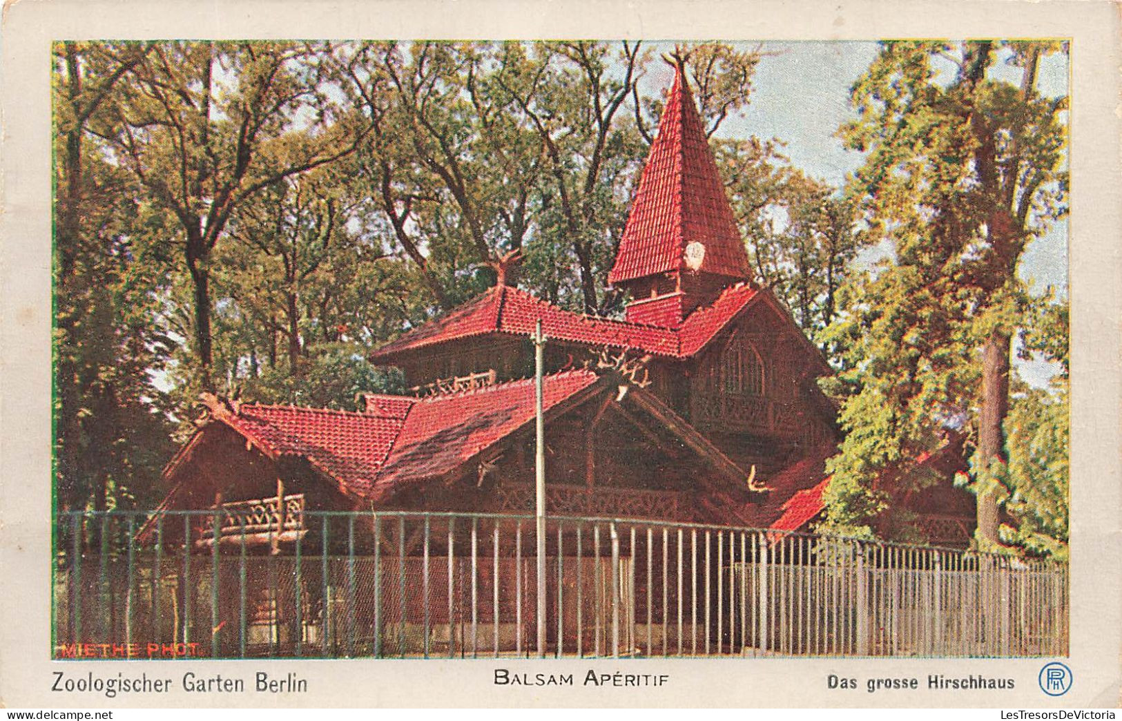 ALLEMAGNE - Zoologischer Garten Berlin - Balsam Aperitif - Das Grosse Hirschhaus - Colorisé - Carte Postale Ancienne - Sonstige & Ohne Zuordnung