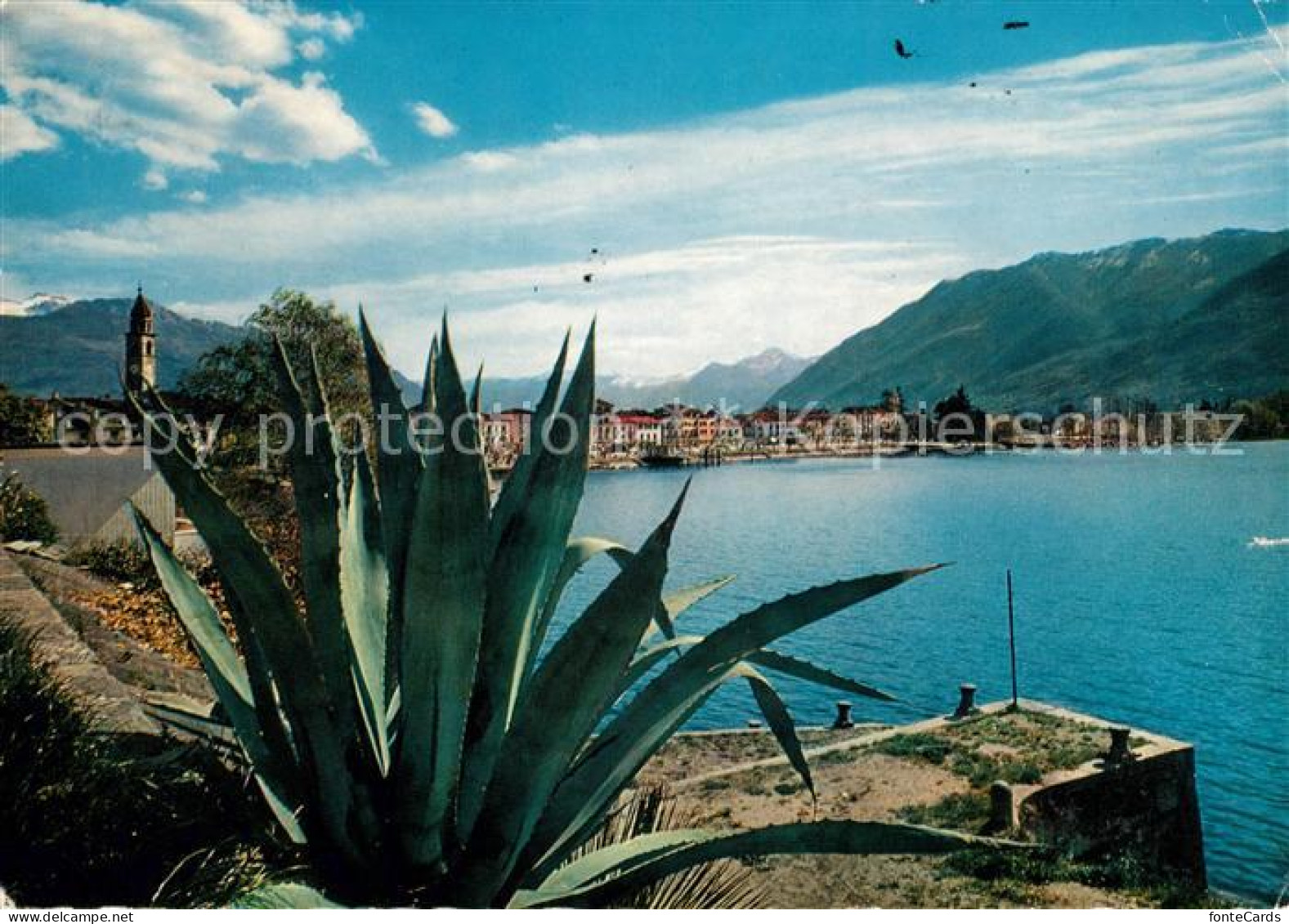 13050657 Ascona Lago Maggiore Panorama Ascona Lago Maggiore - Other & Unclassified