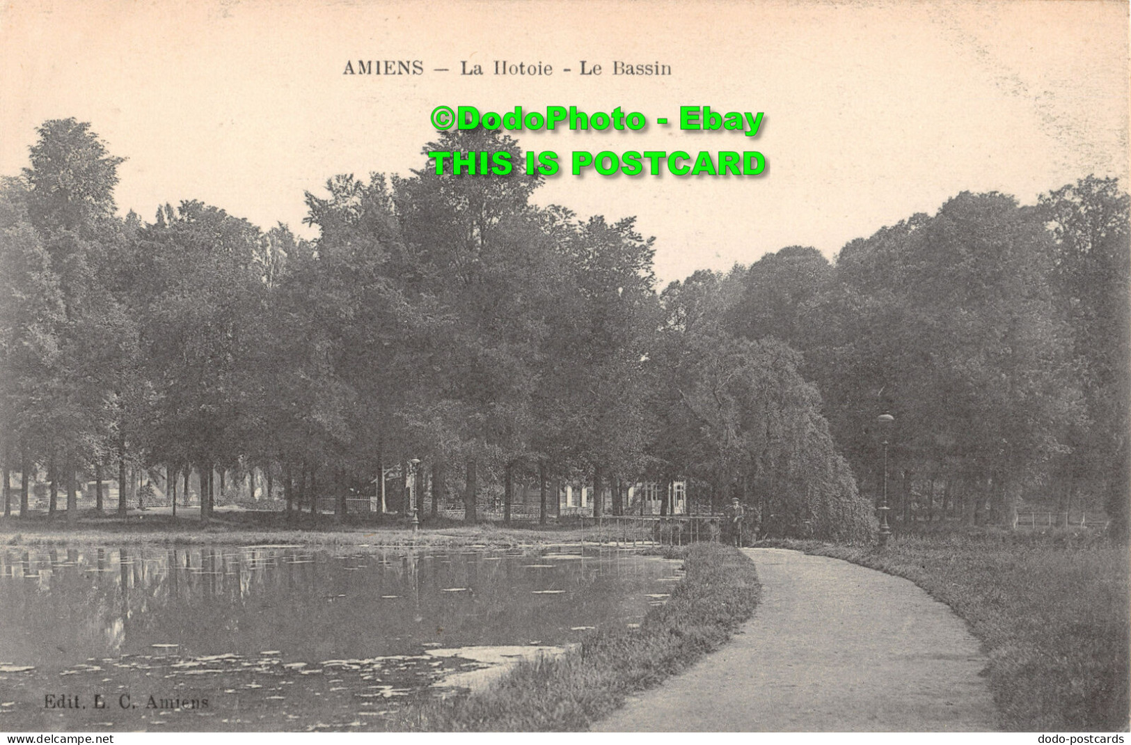 R356111 L. C. Amiens. La Hotoie. Le Bassin - World