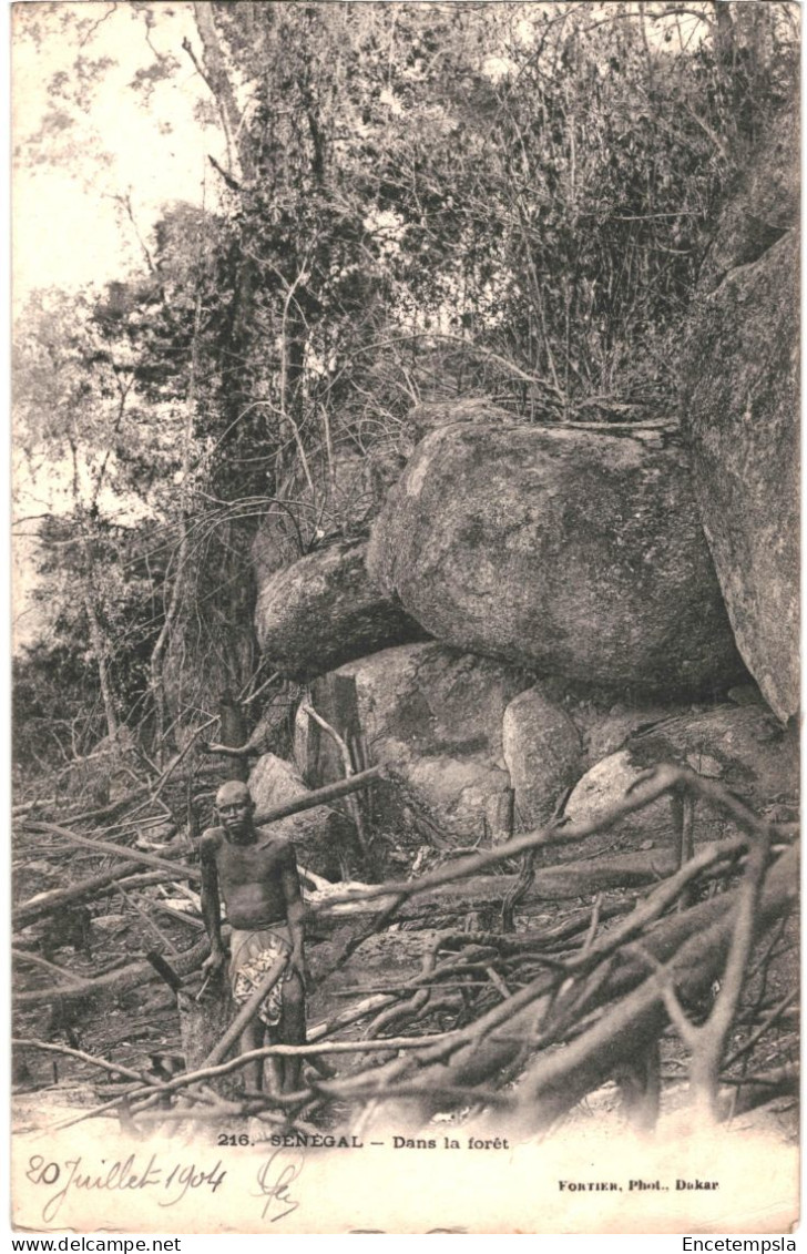 CPA Carte Postale Sénégal Dans La Forêt  1904 VM80745 - Sénégal