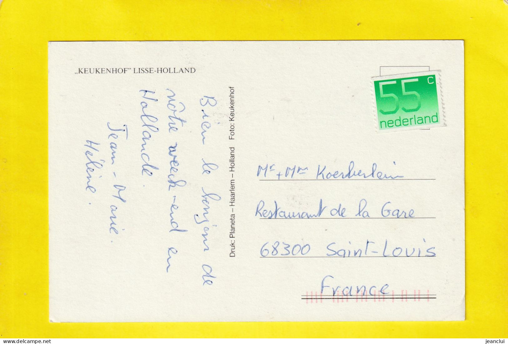 CPM.    "   KEUKENHOF .  LISSE-HOLLANDE  "  .  CARTE AFFR AU VERSO MAIS NON OBLIT .  2 SCANNES - Altri & Non Classificati