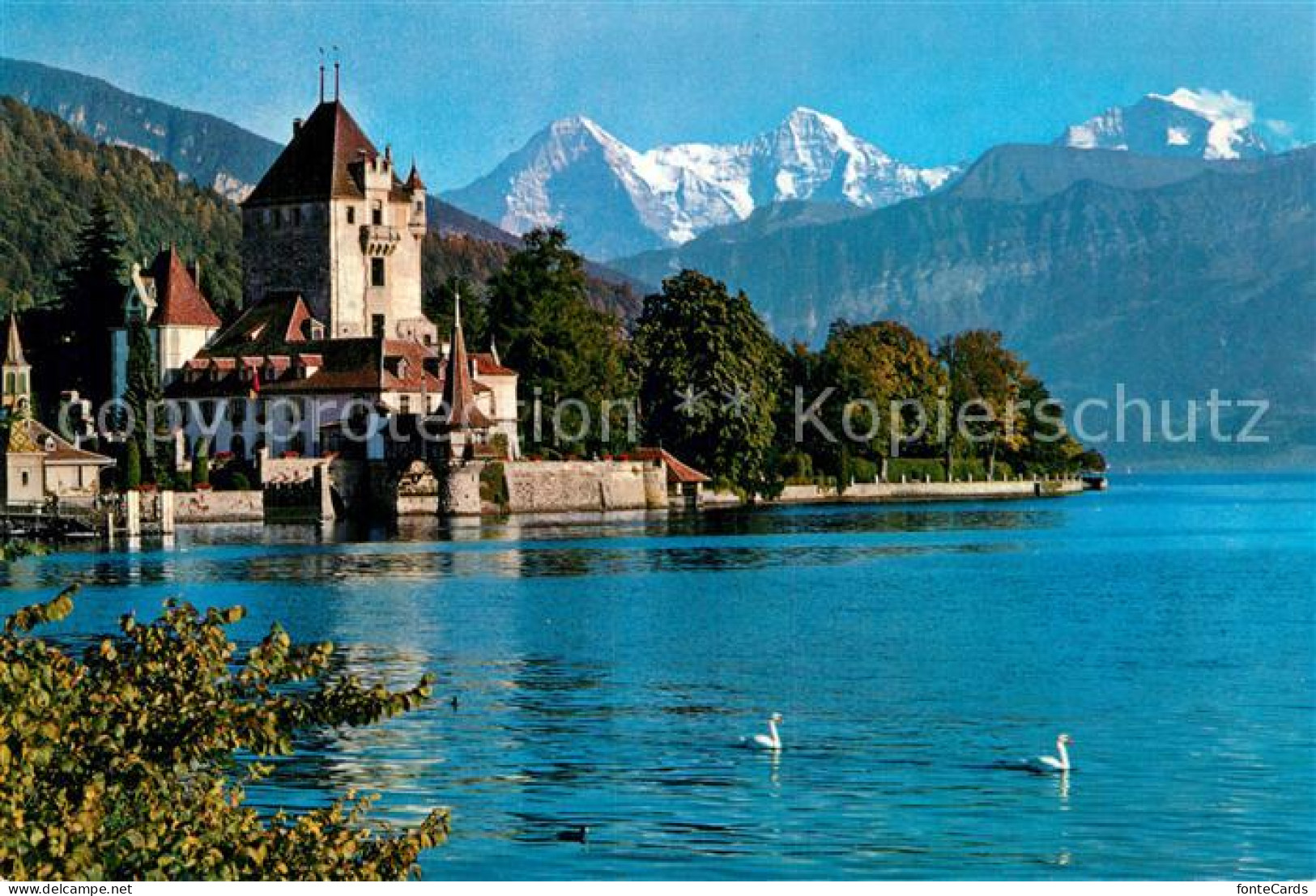 13016587 Thunersee Schloss Oberhofen Mit Eiger Moench Und Jungfrau Thunersee - Other & Unclassified