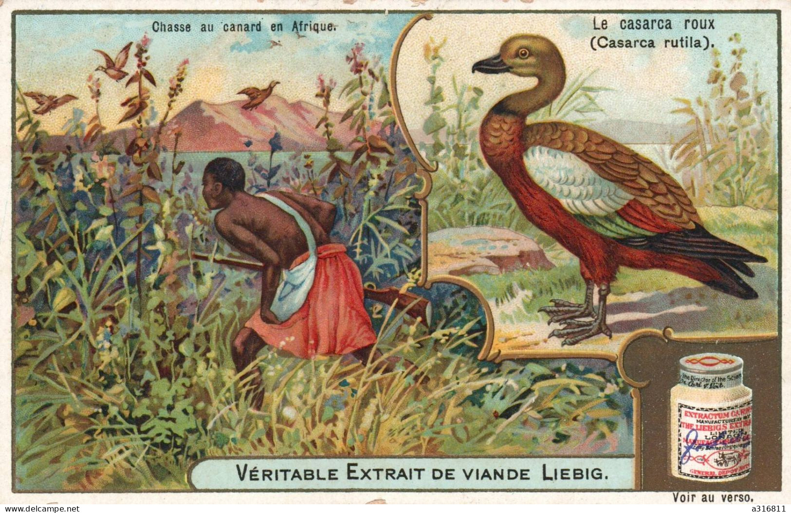 S656 - CHROMO LIEBIG - Chasse Au Canard En Afrique - Le Casarca Roux - Liebig