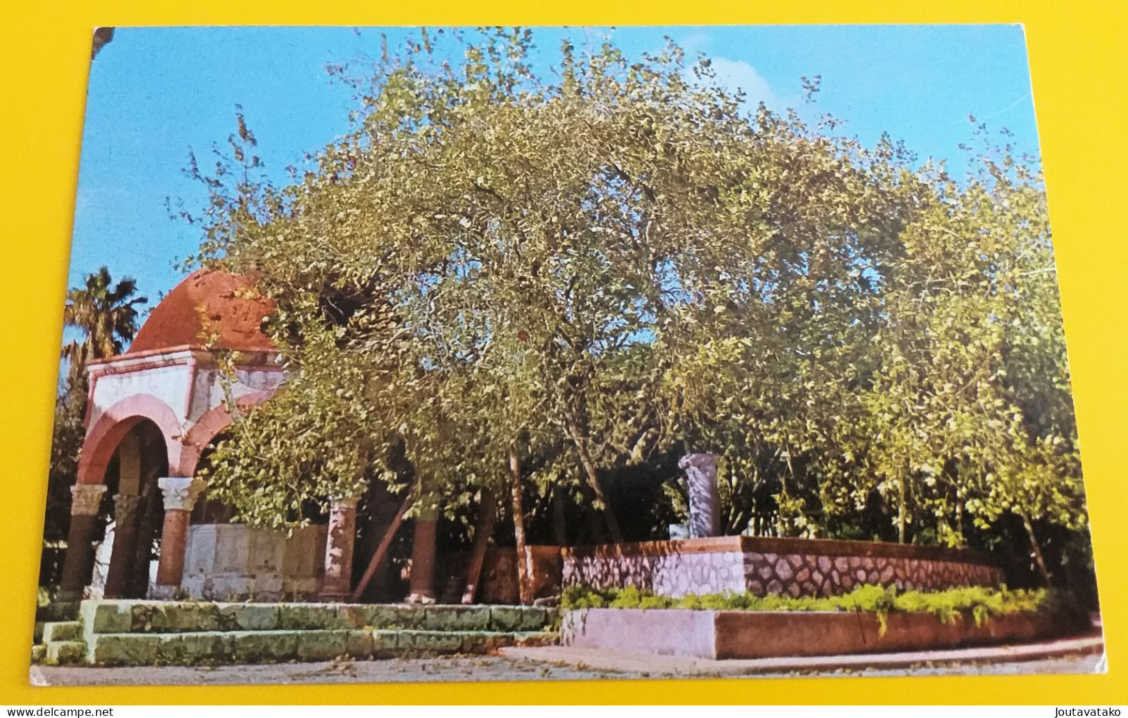 2 PCs - Plane-tree, Platane-tree Of Hippocrates - Cos, Kos, Greece - Griechenland