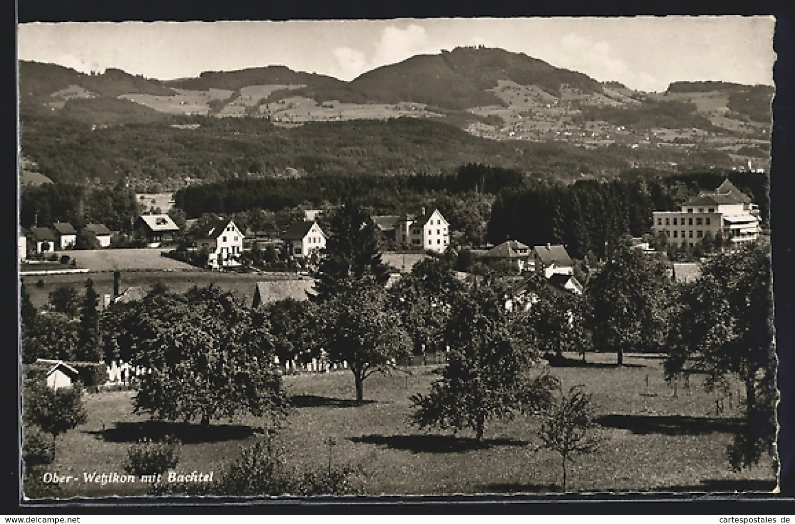 AK Wetzikon, Ober-Wetzikon, Ortsansicht Mit Bachtel  - Other & Unclassified