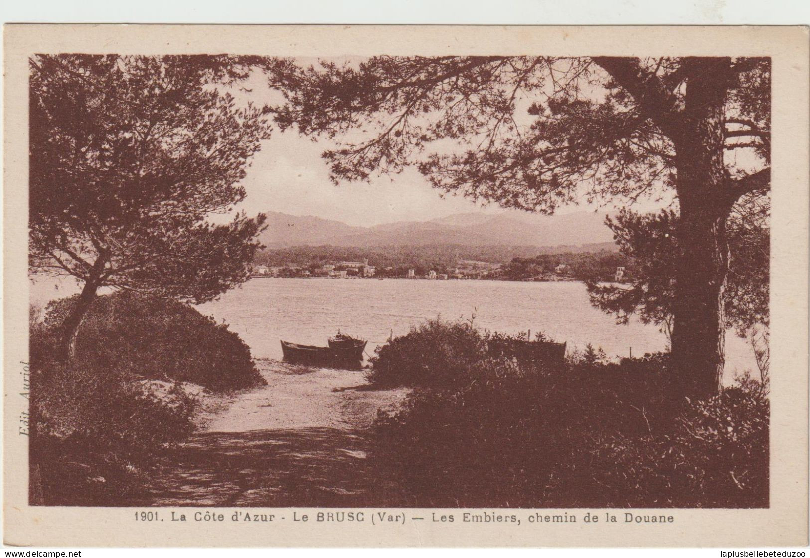 CPA - 83 - LE BRUSC - Les EMBIERS - Chemin De La Douane - Vers 1930 - Sonstige & Ohne Zuordnung